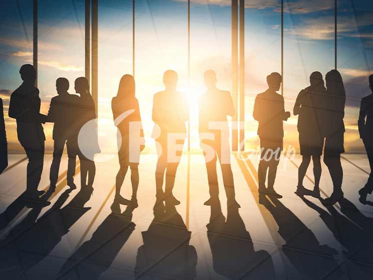 Profesyonel Apartman, Site Yönetimi Nasıl Kurulur?